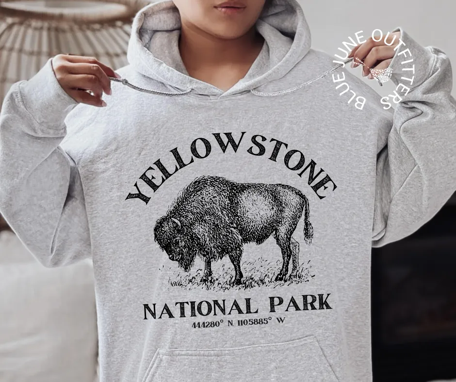Yellowstone National Park | Unisex Hoodie